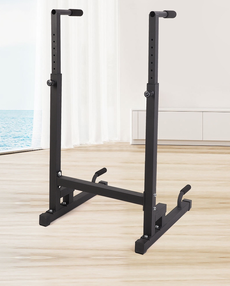 محطة غمس شديدة التحمل، حامل سح - مراجعة Dip Bar Parallel وسعره
